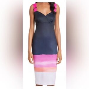 Ted Baker London Blue and Pink Sheath Dress Sweetheart Neckline